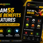 How DREAM55 Game Fits Together: A Beginner’s Guide to Screens, Accounts and Checks — featured image for IN777 India Android readers